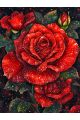 Алмазная мозаика без подрамника «Красная роза» 80x60 см