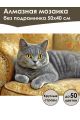 Алмазная мозаика без подрамника «Кот британец» 50x40 см