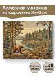 Алмазная мозаика на подрамнике «Косолапый мишка» 50x40 см