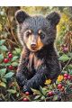Алмазная мозаика без подрамника «Мишутка» 50x40 см
