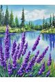 Алмазная мозаика без подрамника «Лесной шалфей» 50x40 см