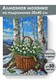 Алмазная мозаика на подрамнике «Подснежники» 50x40 см, 50 цветов
