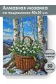 Алмазная мозаика на подрамнике «Подснежники» 40x30 см, 50 цветов