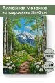 Алмазная мозаика на подрамнике «Тропинка в горы» 50x40 см