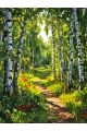 Алмазная мозаика без подрамника «Березовая роща» 40x30 см