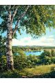 Алмазная мозаика без подрамника «Родные просторы» 130x100 см