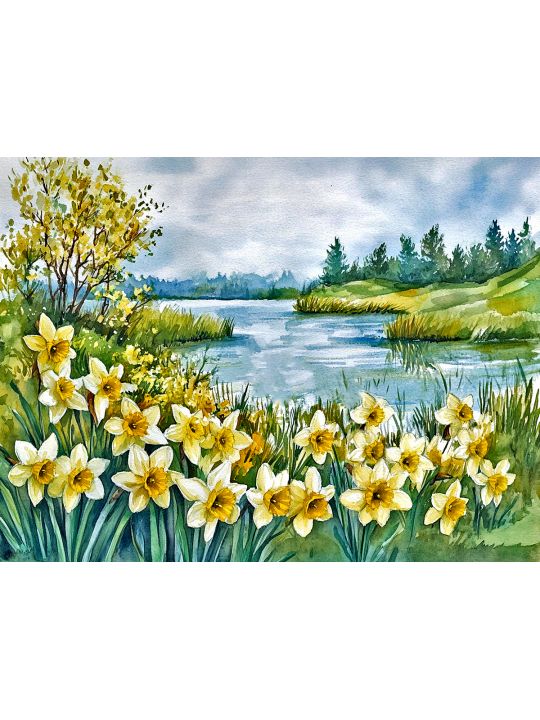 Алмазная мозаика без подрамника «Нарциссы весной» 50x40 см