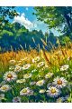 Алмазная мозаика без подрамника «Ромашковое поле» 80x60 см