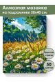 Алмазная мозаика на подрамнике «Ромашковое поле» 50x40 см, 50 цветов