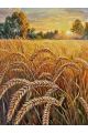 Алмазная мозаика без подрамника «Пшеничное поле» 40x30 см