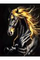 Алмазная мозаика без подрамника «Вороной конь» 25x20 см