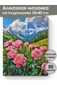 Алмазная мозаика на подрамнике «Пионы в горах» 50x40 см, 50 цветов