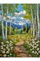 Алмазная мозаика без подрамника «Тропинка в горы» 50x40 см