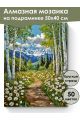 Алмазная мозаика на подрамнике «Тропинка в горы» 50x40 см, 50 цветов