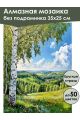 Алмазная мозаика без подрамника «Береза на холме» 35x25 см