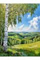 Алмазная мозаика без подрамника «Береза на холме» 80x60 см