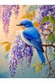 Алмазная мозаика без подрамника «Птица на ветке» 50x40 см