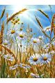Алмазная мозаика без подрамника «Ромашки в поле» 25x20 см