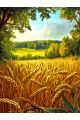 Алмазная мозаика без подрамника «Пшеничное поле» 25x20 см