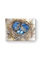 Алмазная мозаика на подрамнике «Птицы в гнезде» 50x40 см