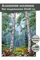 Алмазная мозаика без подрамника «Березки» 25x20 см