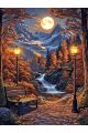 Алмазная мозаика без подрамника «Ночной парк» 40x30 см