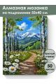 Алмазная мозаика на подрамнике «Ромашки в горах» 50x40 см, 50 цветов