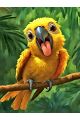 Алмазная мозаика без подрамника «Желтый попугай» 25x20 см