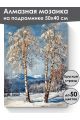 Алмазная мозаика на подрамнике «Березы зимой» 50x40 см