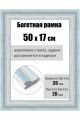 Рамка багетная для картин со стеклом 50 x 17 см, РБ-209