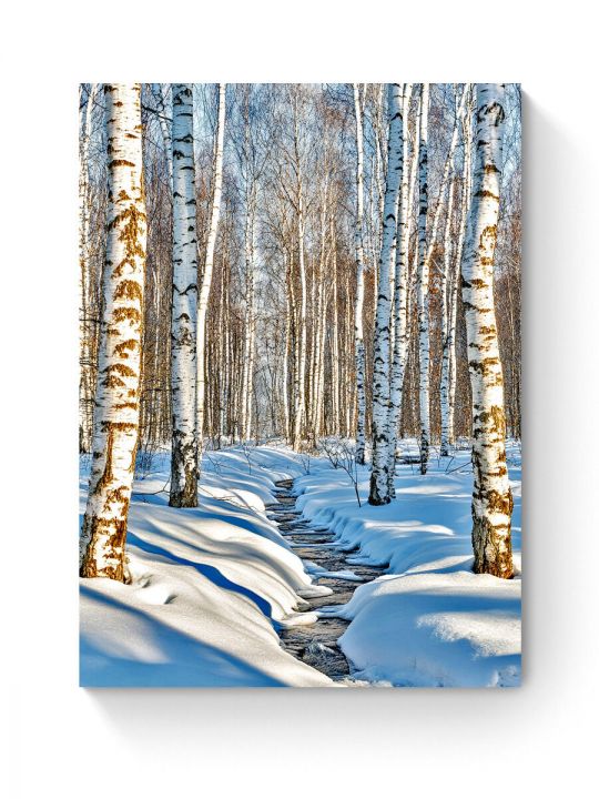 Алмазная мозаика на подрамнике «Зимний ручей» 50x40 см, 50 цветов