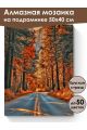 Алмазная мозаика на подрамнике «Дорога в осень» 50x40 см