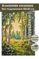 Алмазная мозаика без подрамника «Березовая роща» 40x30 см