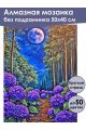Алмазная мозаика без подрамника «Ночной парк» 50x40 см