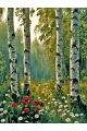 Алмазная мозаика без подрамника «Березовая роща» 80x60 см