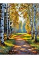 Алмазная мозаика без подрамника «Лесная дорожка» 40x30 см