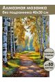 Алмазная мозаика без подрамника «Лесная дорожка» 40x30 см