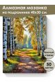 Алмазная мозаика на подрамнике «Лесная дорожка» 40x30 см, 50 цветов