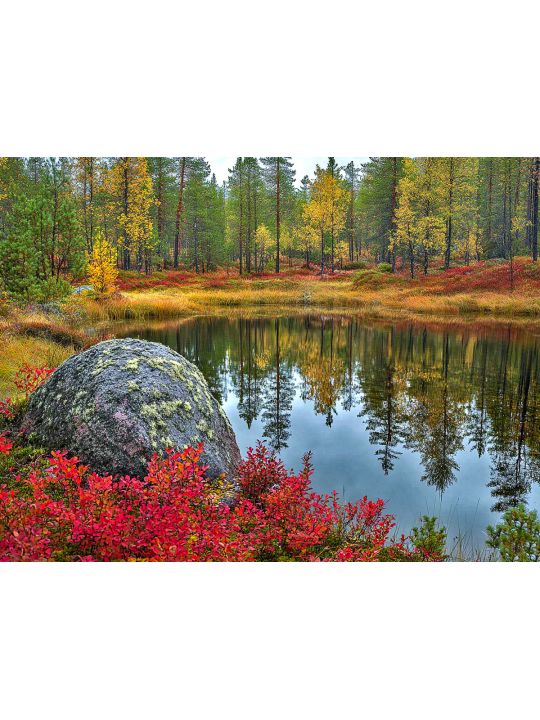 Алмазная мозаика без подрамника «Природа Карелии» 50x40 см