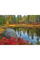 Алмазная мозаика без подрамника «Природа Карелии» 50x40 см