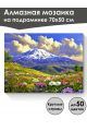 Алмазная мозаика на подрамнике «Цветы в горах» 70x50 см, 48 цветов