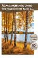 Алмазная мозаика без подрамника «Осень на Волге» 40x30 см, 50 цветов