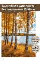 Алмазная мозаика без подрамника «Осень на Волге» 50x40 см