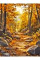 Алмазная мозаика без подрамника «Осенний лес» 50x40 см