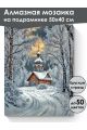 Алмазная мозаика на подрамнике «Зима в деревне» 50x40 см, 50 цветов