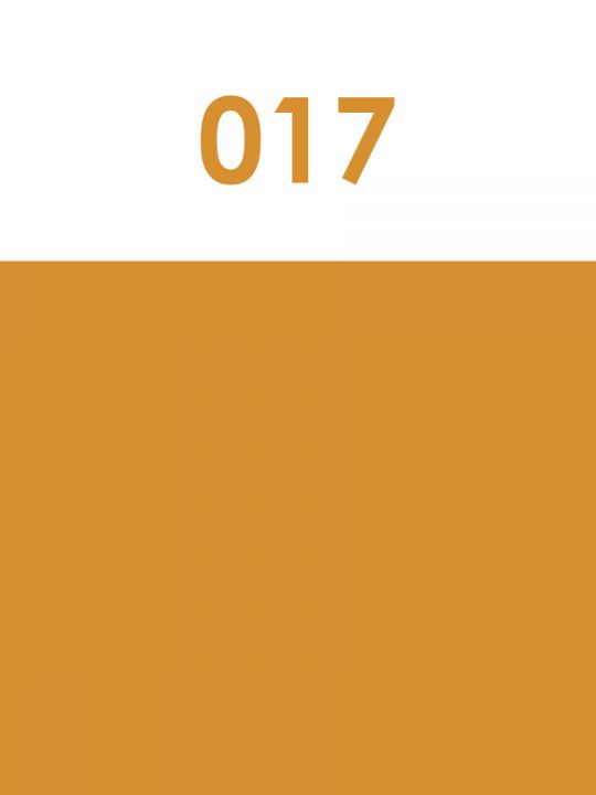 Краска акриловая художественная матовая 2,5 гр. цвет 017