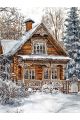 Алмазная мозаика без подрамника «Зима в деревне» 40x30 см