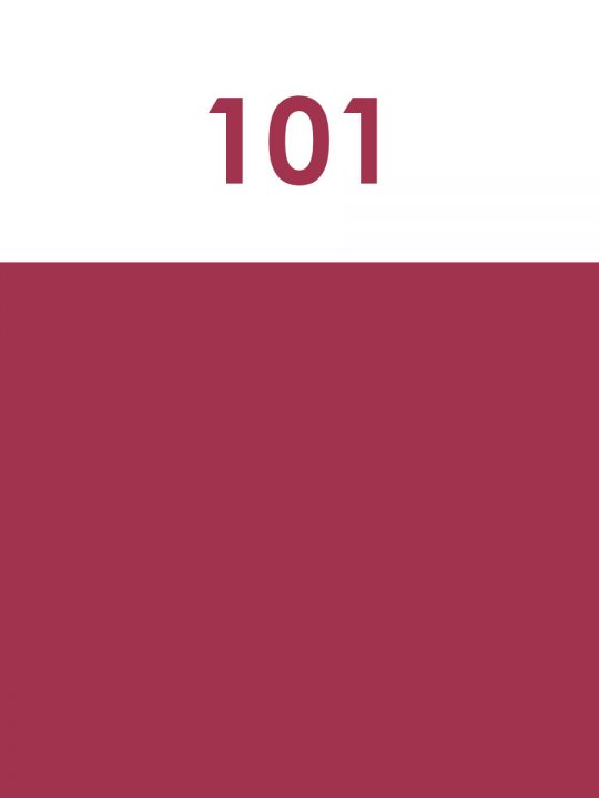 Краска акриловая художественная матовая 2,5 гр. цвет 101