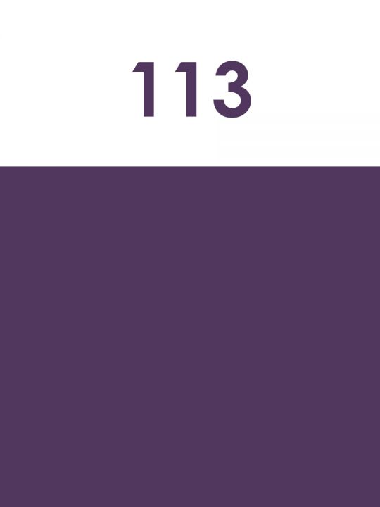 Краска акриловая художественная матовая 2,5 гр. цвет 113