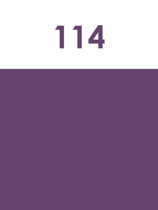 Краска акриловая художественная матовая 2,5 гр. цвет 114